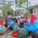 Manfaatkan Galon Bekas Menjadi Pot Tanaman